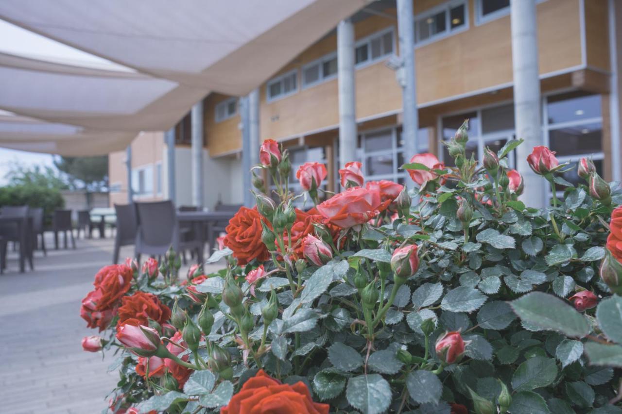 Tocchi Di Puglia Guest House Castellaneta Marina Exterior photo